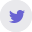news_icons_twitter.png